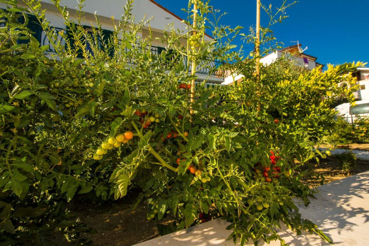 Ve & Ki Apartment Podstrana Exterior foto